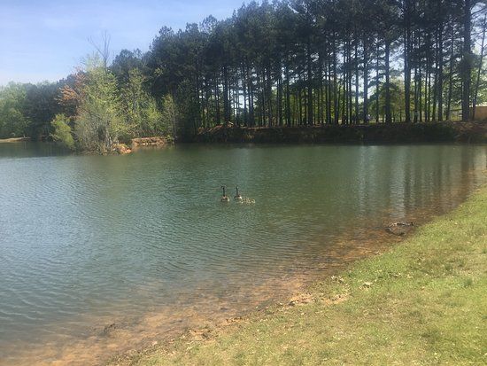 Hays Nature Preserve